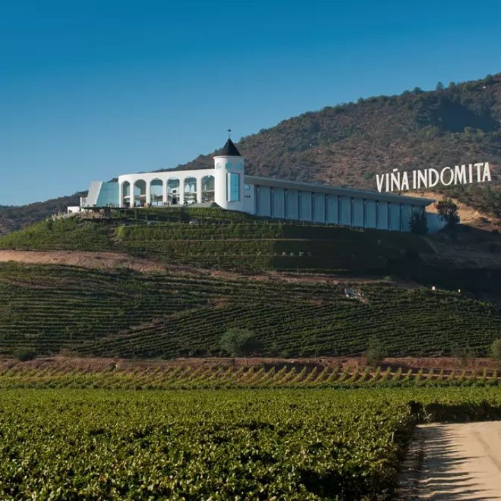 Villa on a hill with vineyards and &#39;Viña Indomita&#39; sign in the background