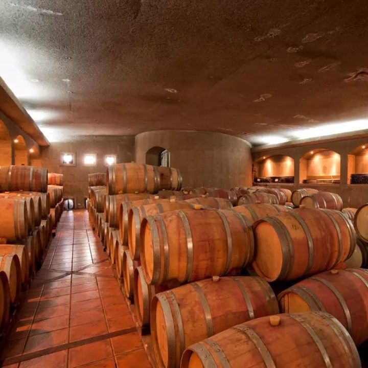 Wine barrels in a wine cellar with concrete walls and ceiling.