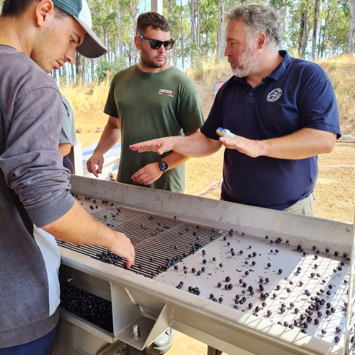 Peccavi, No Regrets Cabernet Merlot 2020