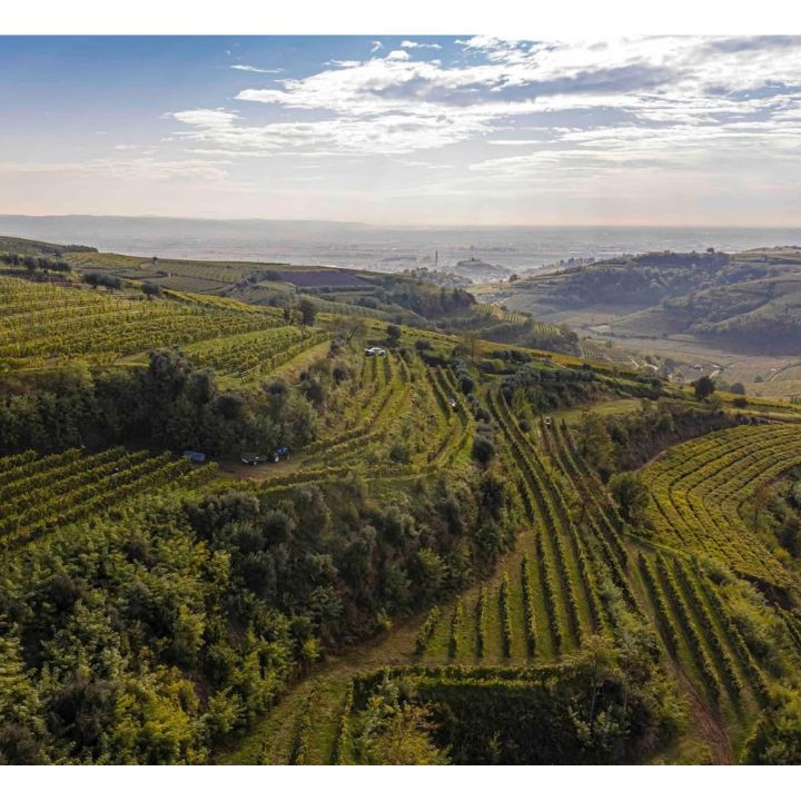Pieropan, Soave Classico 2024