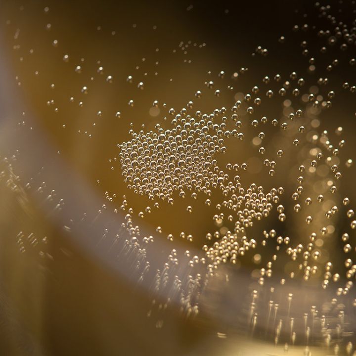 Pol Roger Brut Reserve NV