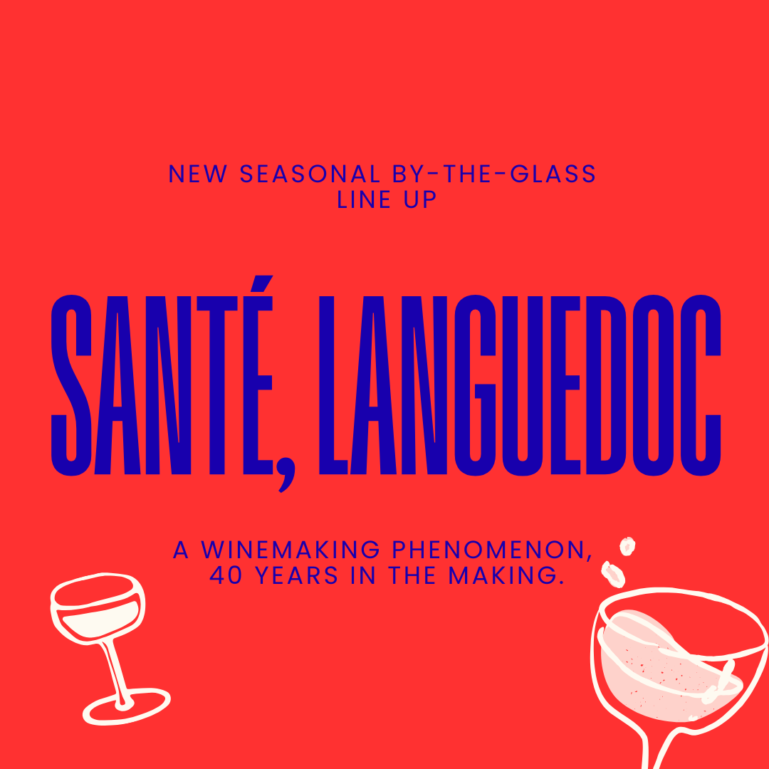 A red graphic poster-style image with large blue text reading 'SANTÉ, Languedoc' and smaller blue text above and below. White line drawings of wine glasses appear at the bottom left and right.