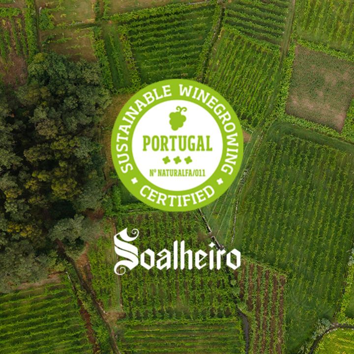 Soalheiro, Alvarinho 2023