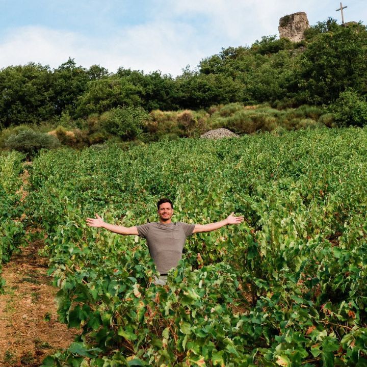 Pierre Antonin, Pet-Nat Vigne Sauvage 2024