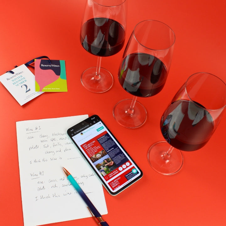 Blind Tasting at Home - Winter Red Wines