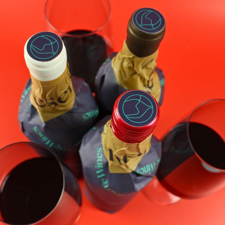 Blind Tasting at Home - Winter Red Wines