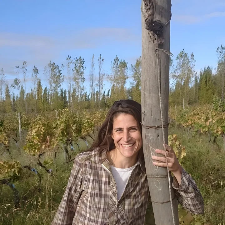 Aniello 006 Merlot 2024