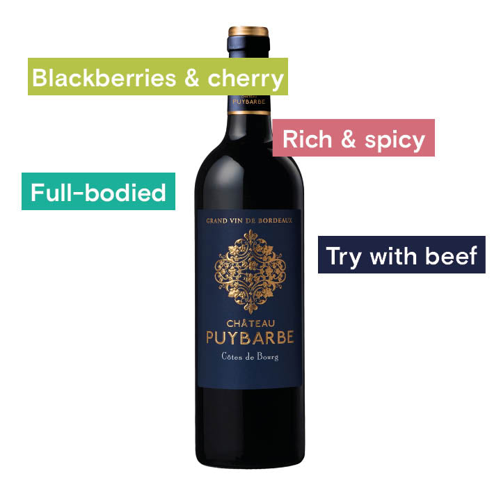Chateau Puybarbe, Cotes de Bourg bottle and notes