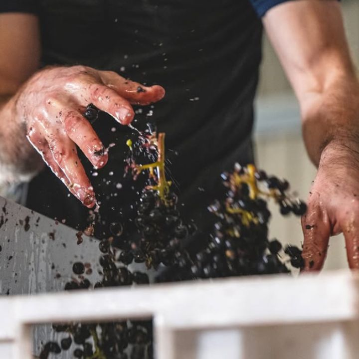 Celebrating English Wine at Didsbury, 12th June.
