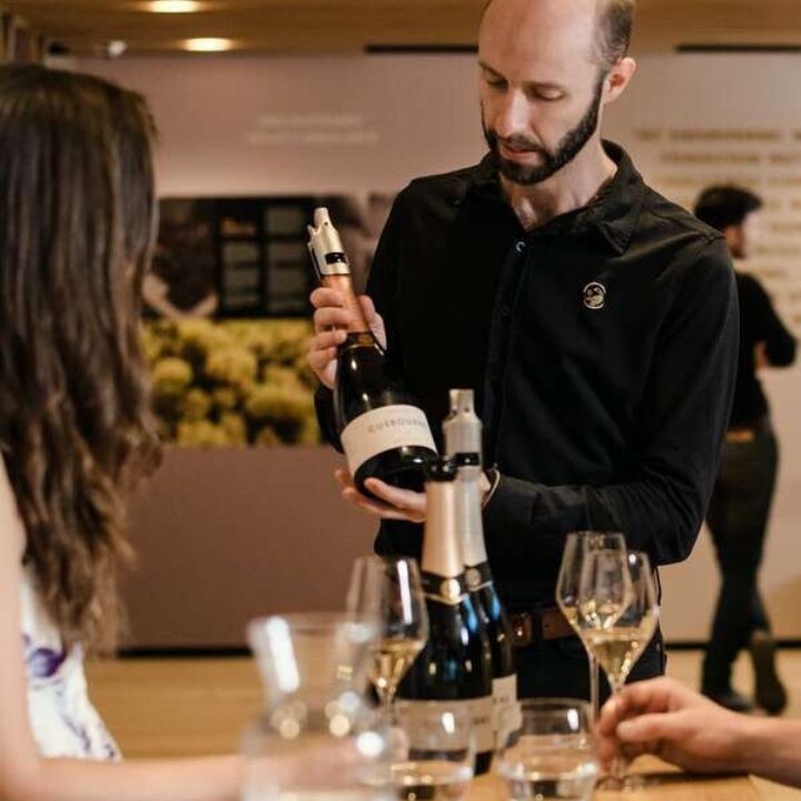 Wine tasting event with a sommelier explaining wine bottles to attendees.