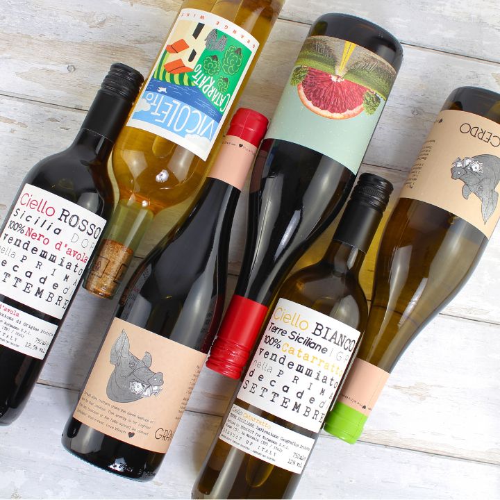 Natural Wine - Introduction Case (Free Delivery on this Case!)