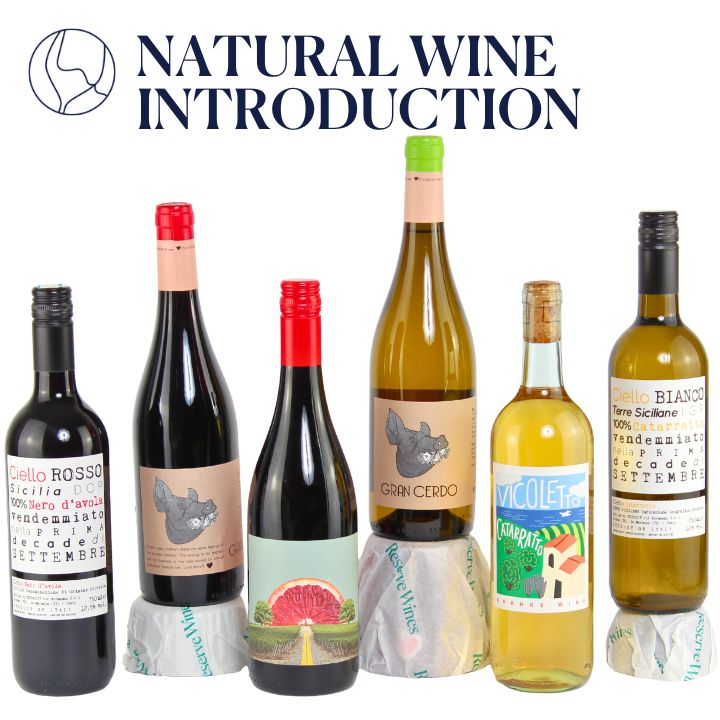 Natural Wine - Introduction Case (Free Delivery on this Case!)