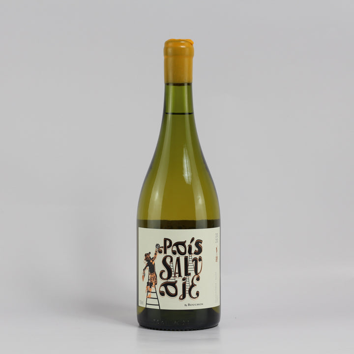 Bouchon Wines, Pais Salvaje White 2020