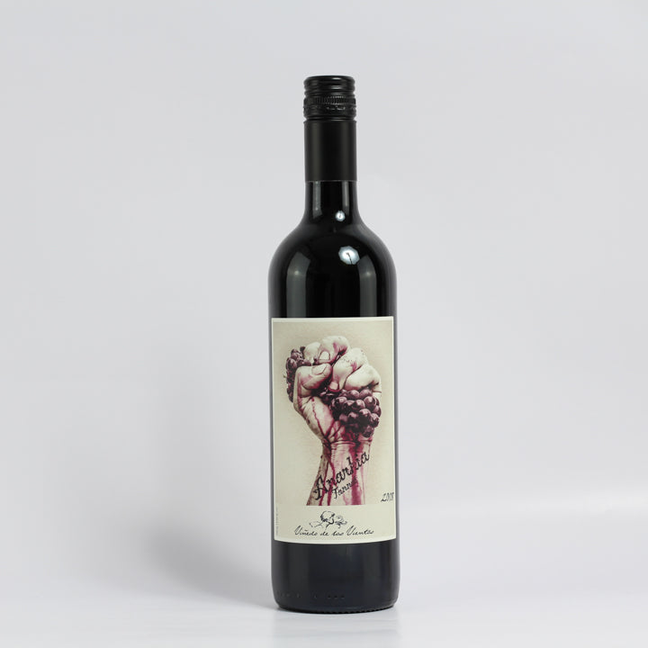 Bodega Pablo Fallabrino, Anarkia Tannat 2018