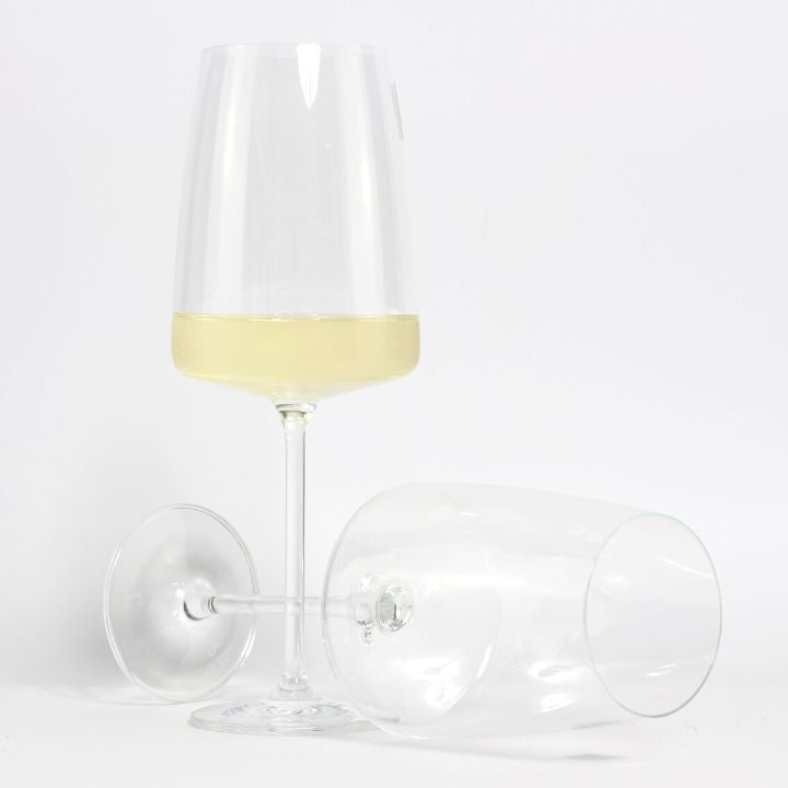 Schott Zwiesel Vivid Senses Fruity & Delicate Wine Glass (Pack of 2 Glasses) Wine In Glass