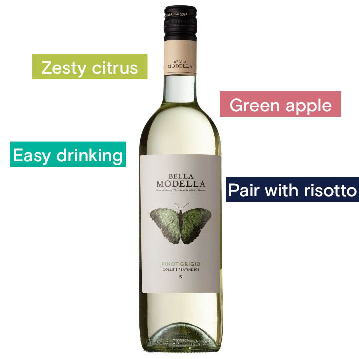 Bella Modella, Pinot Grigio Terre di Chieti 2022