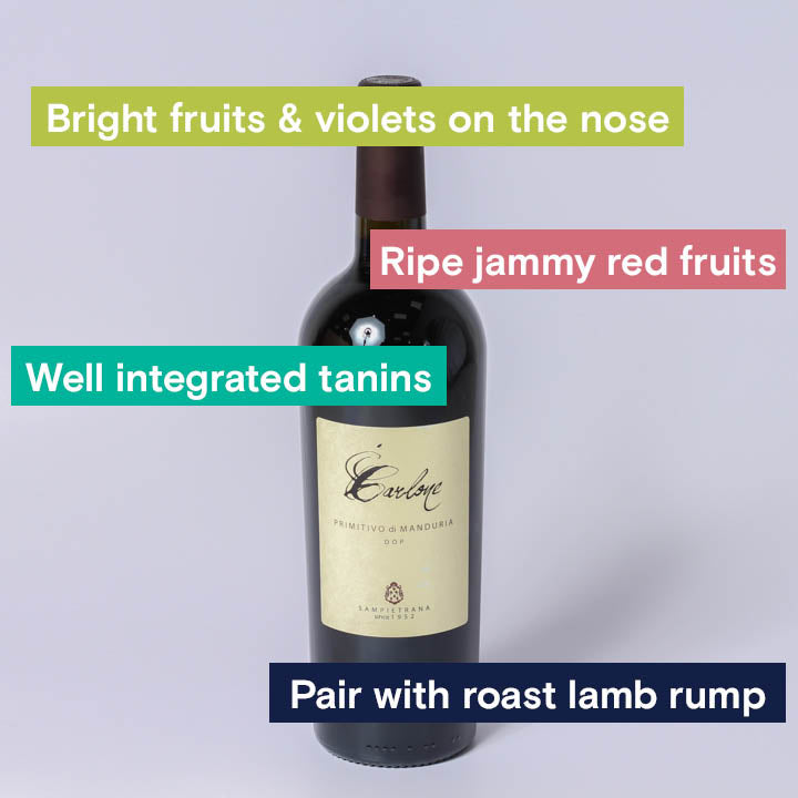 Cantine Sampietrana, Carlone Primitivo di Manduri. Notes. Brigt fruits &amp; Violets, Jammy Red fruit, well integrated tannins, pair with roast lamb.